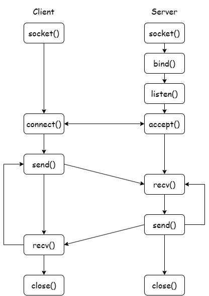 Socket API TCP 调用过程